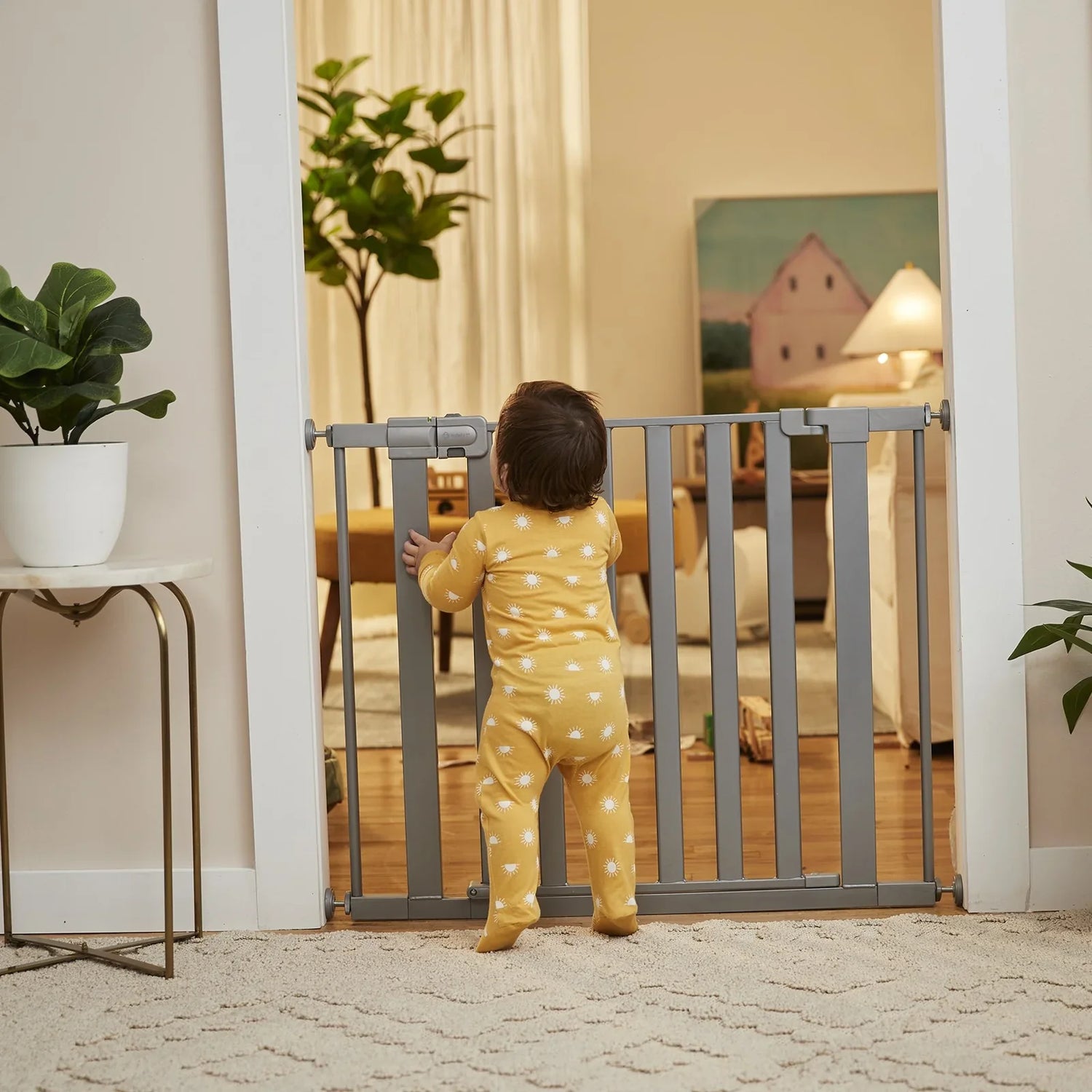 Baby Gates